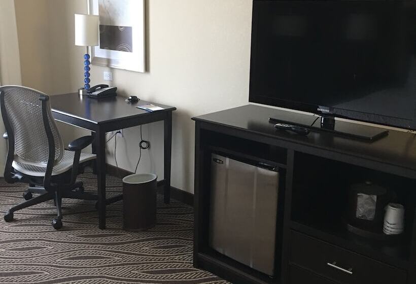 חדר סטנדרט מותאם לאדם עם מוגבלויות, Hampton Inn & Suites Denver/airportgateway Park