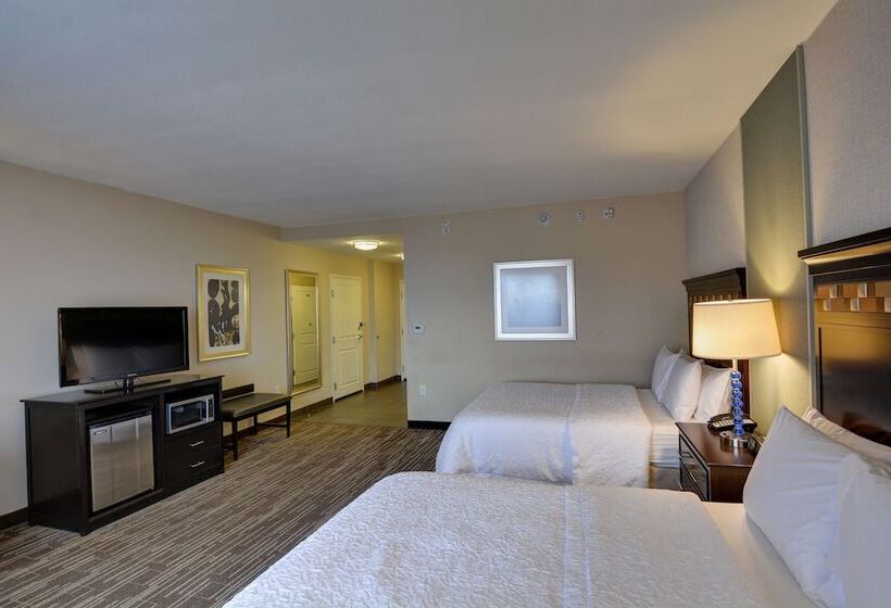 חדר סטנדרט, Hampton Inn & Suites Denver/airportgateway Park