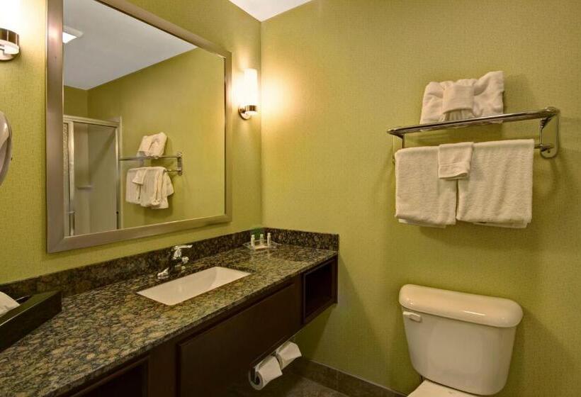 Номер Executive Кровать Кинг, Holiday Inn Christiansburg Blacksburg, An Ihg