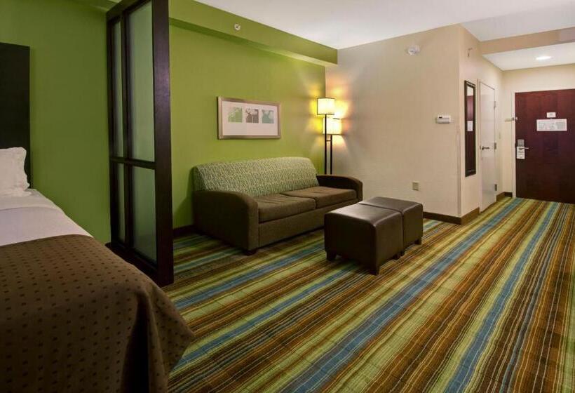 Люкс, Holiday Inn Christiansburg Blacksburg, An Ihg