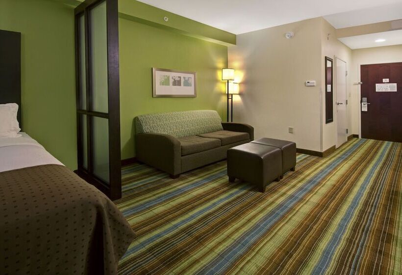 Номер Стандарт, Holiday Inn Christiansburg Blacksburg, An Ihg