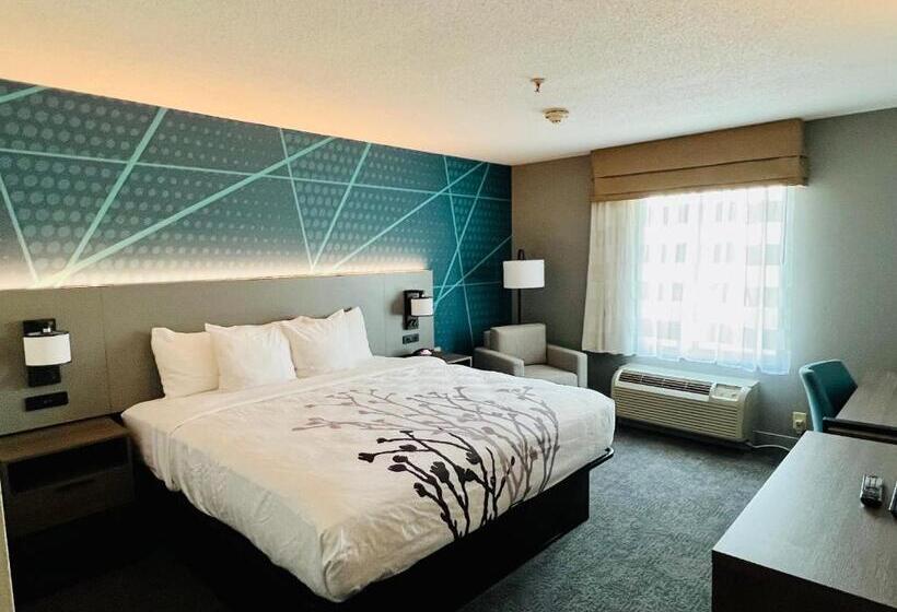 Стандартный Номер Кровать Кинг, Comfort Inn Emporia