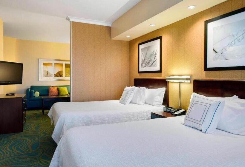 Студия Стандарт, Springhill Suites By Marriott Omaha East, Council Bluffs, Ia