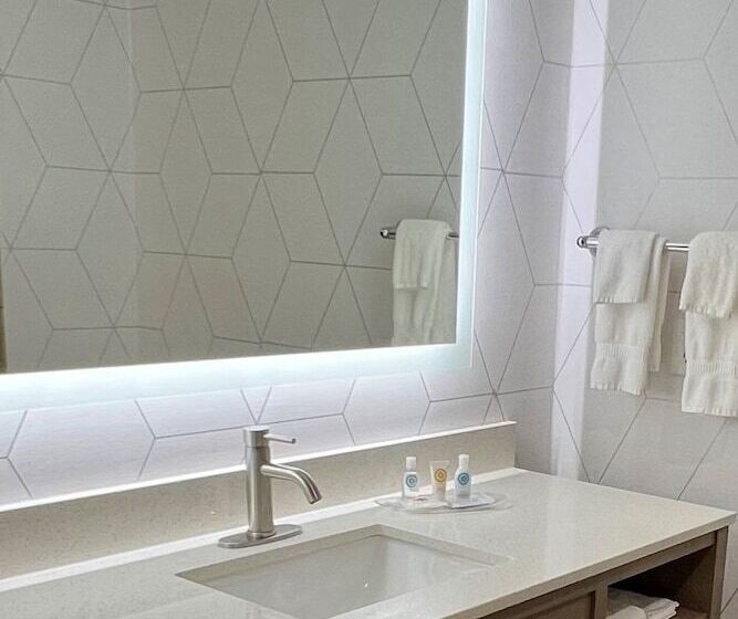 Люкс Адаптированный для Инвалидов, Comfort Suites Hudson I94