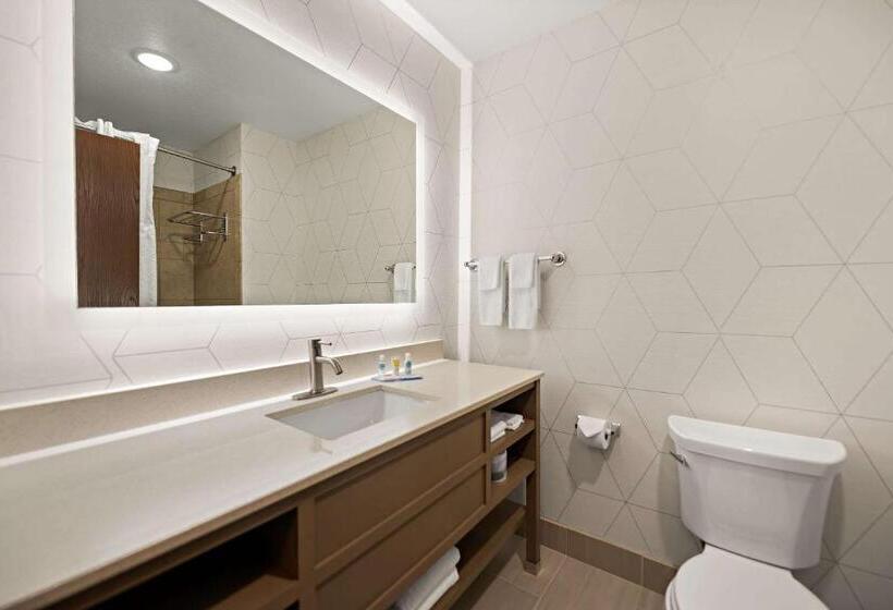 带大床的套房, Comfort Suites Hudson I94