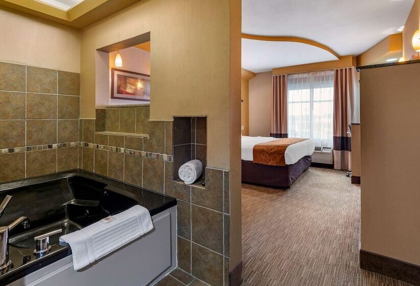 Люкс, Comfort Suites Perrysburg  Toledo South