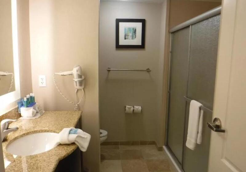 스탠다드 룸, Holiday Inn Express West Jefferson, An Ihg