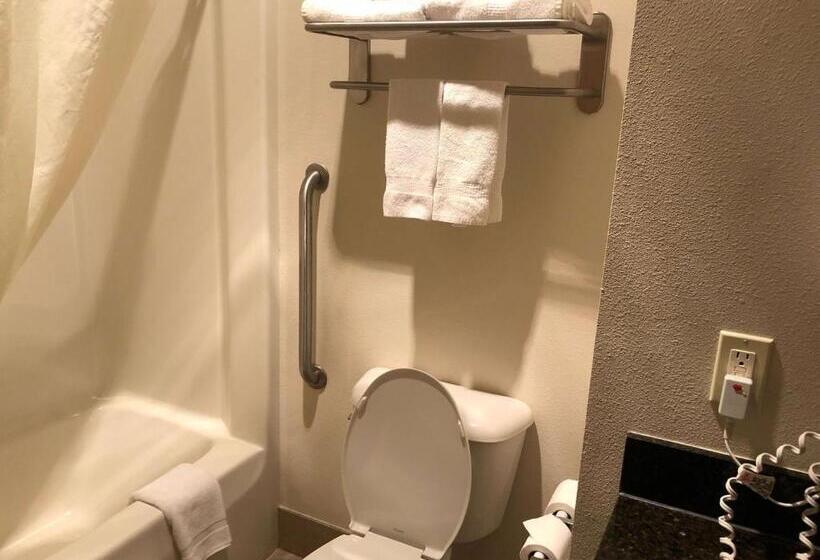 Стандартный Номер Кровать Кинг, Best Western Plover Stevens Point Hotel & Conference Center