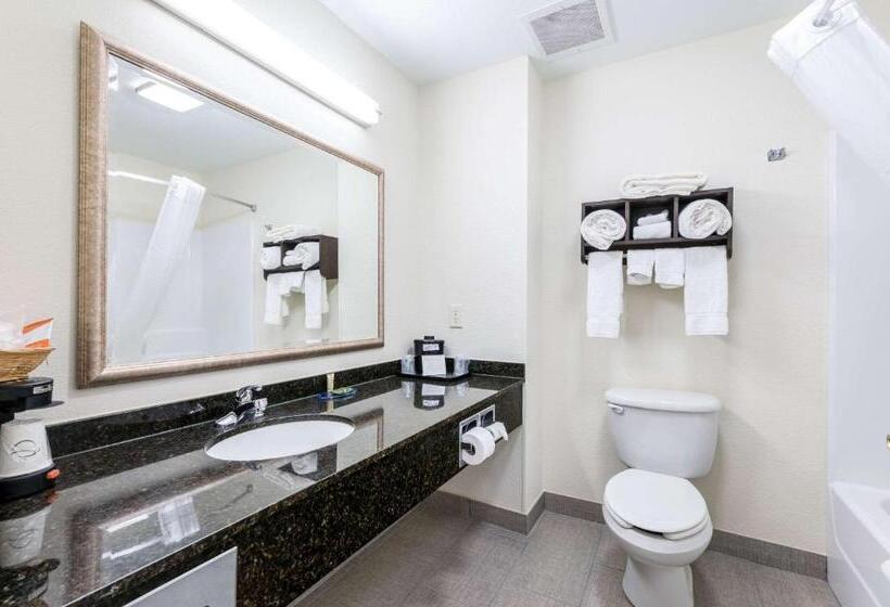 스탠다드 룸 킹사이즈 침대, Clarion Pointe Madisonhuntsville