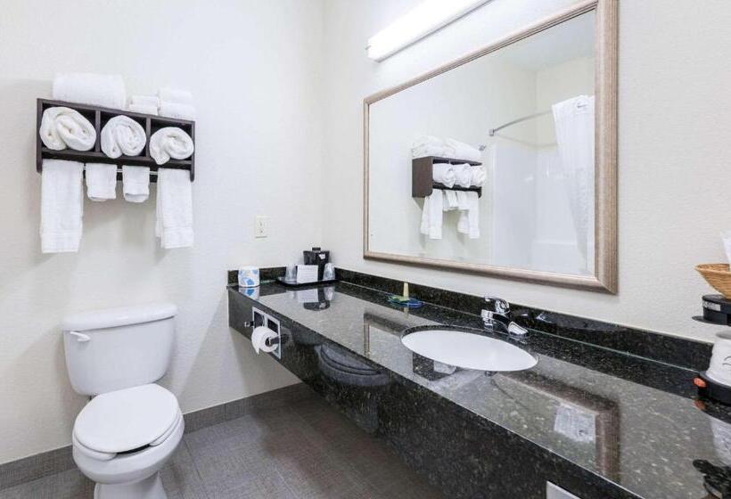 스위트, Clarion Pointe Madisonhuntsville