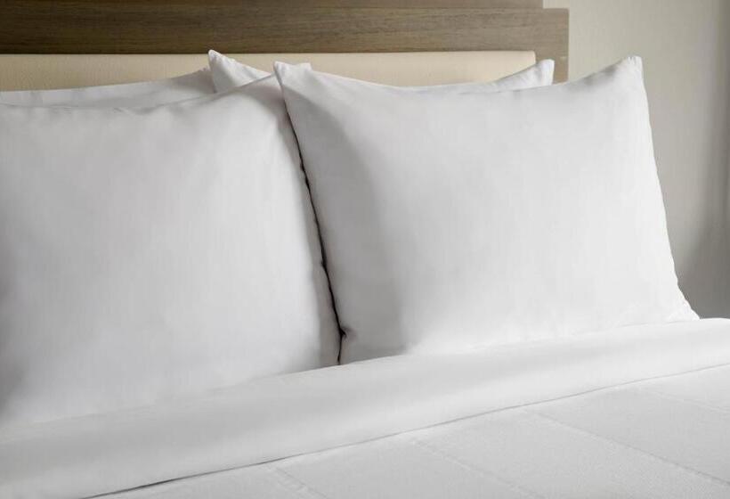 Стандартный Номер Кровать Кинг, Fairfield Inn & Suites By Marriott Boston Milford
