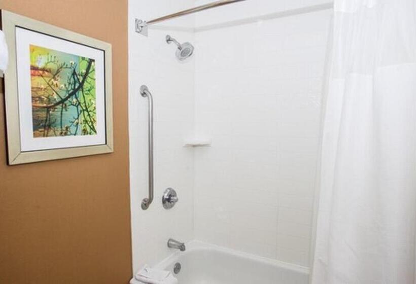 Президентский Люкс, Fairfield Inn & Suites By Marriott Boston Milford