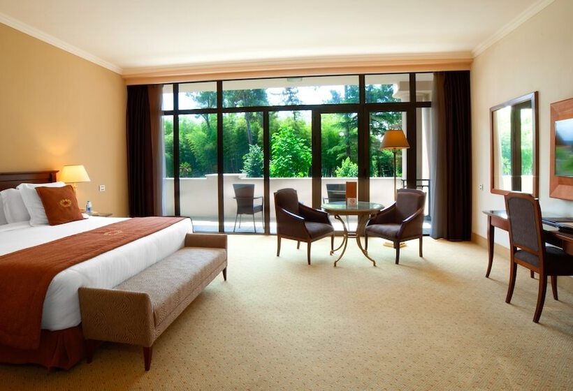 اتاق سوپریور با چشم‌انداز باغ, Kobuleti Georgia Palace Hotel & Spa