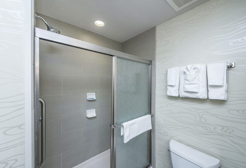 Chambre Standard, Holiday Inn Express & Suites Charleston Arpt Conv Ctr Area, An Ihg