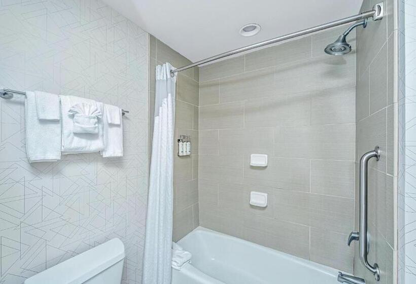Chambre Standard, Holiday Inn Express & Suites Charleston Arpt Conv Ctr Area, An Ihg