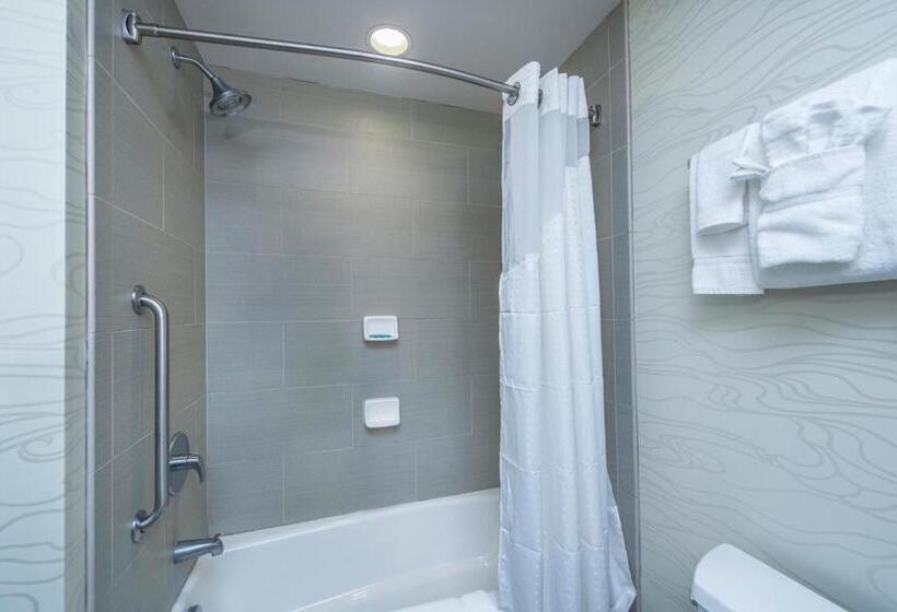 Standard-huone, Holiday Inn Express & Suites Charleston Arpt Conv Ctr Area, An Ihg