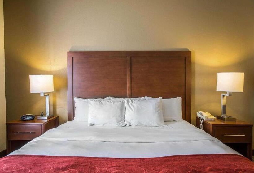 带大床的套房, Quality Suites