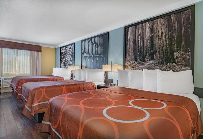 수피리어 룸, Super 8 By Wyndham Ukiah
