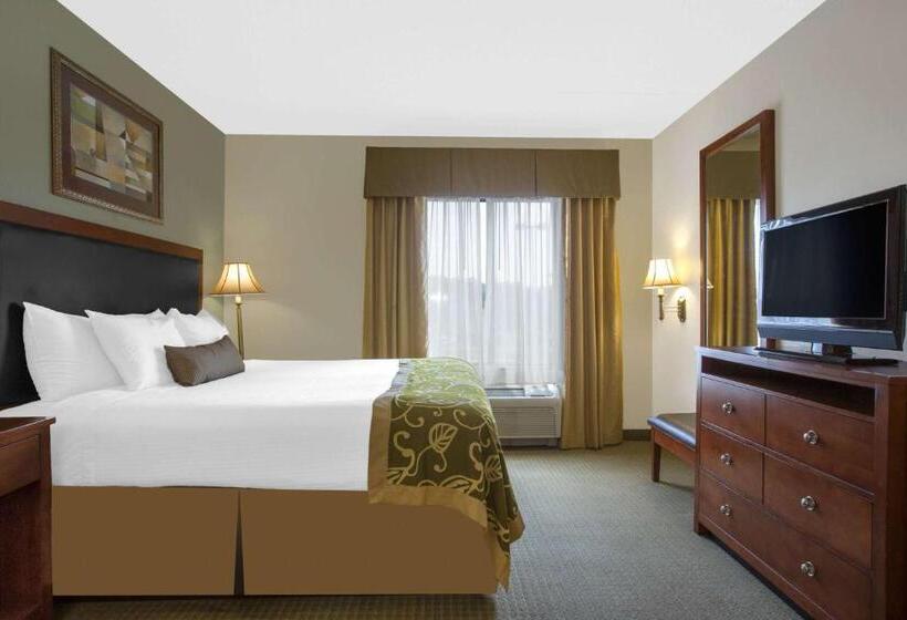 Стандартный Номер Кровать Кинг, Wingate By Wyndham Tuscaloosa