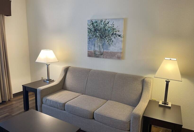 Люкс, Best Western Plus Valdosta Hotel & Suites