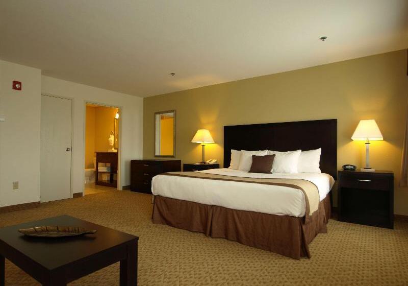 Стандартный Номер Кровать Кинг, Best Western Plus Valdosta Hotel & Suites