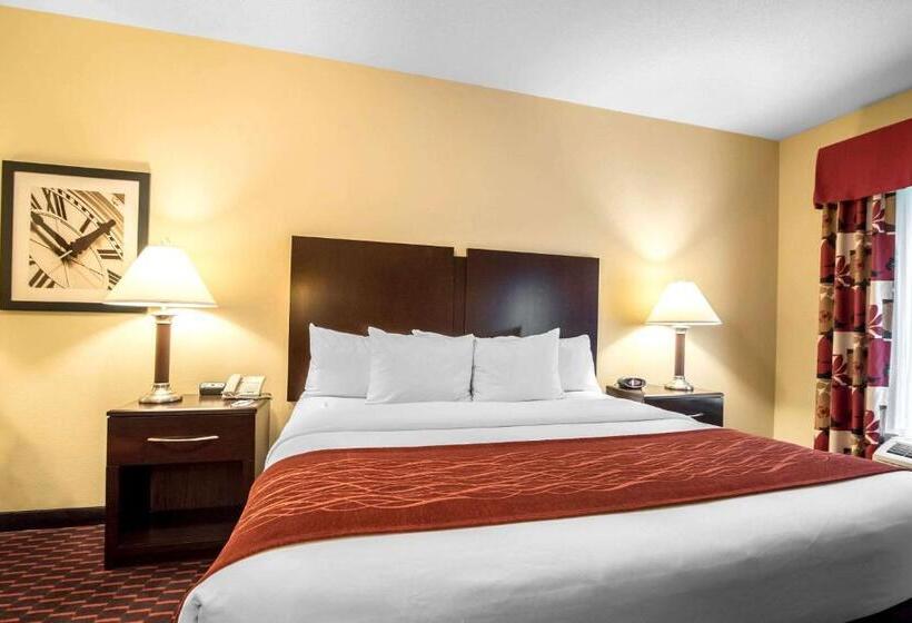 스탠다드 룸 킹사이즈 침대, Comfort Inn & Suites