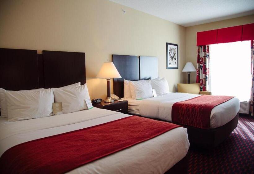 스탠다드 룸, Comfort Inn & Suites