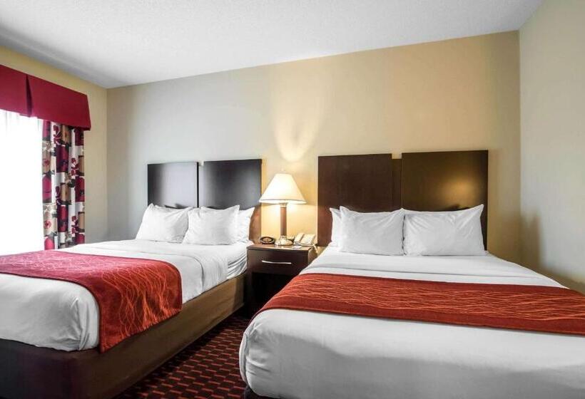 스위트, Comfort Inn & Suites