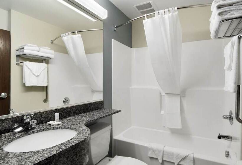 스위트, Microtel Inn & Suites By Wyndham Waynesburg