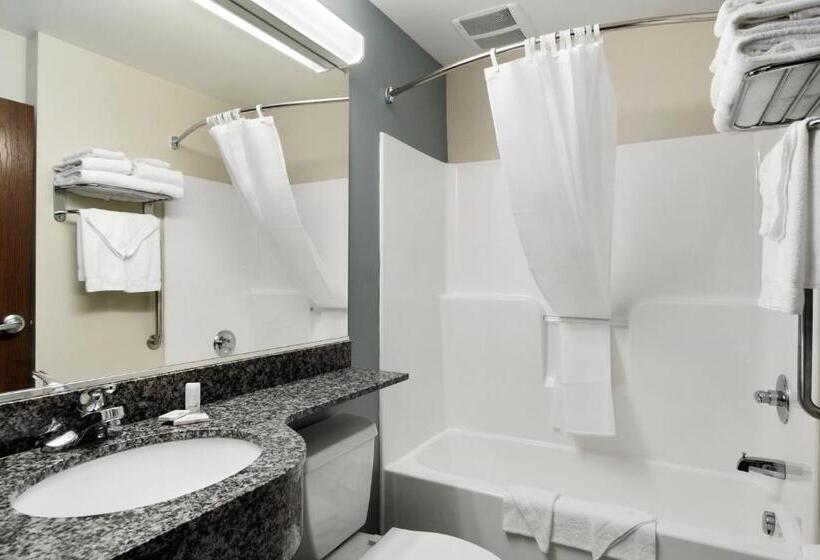 장애인을 위한 스탠다드 룸, Microtel Inn & Suites By Wyndham Waynesburg