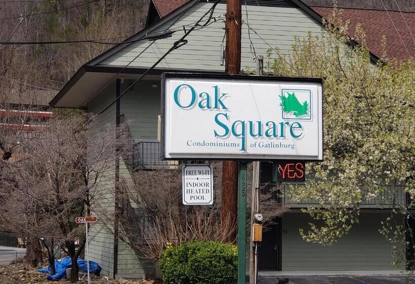 شقة غرفة واحدة, Oak Square 309