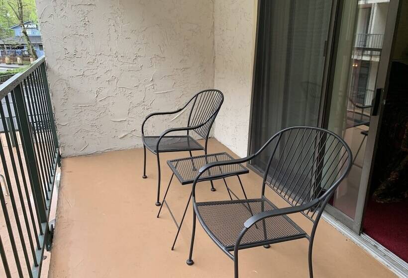 شقة غرفة واحدة, Oak Square 309