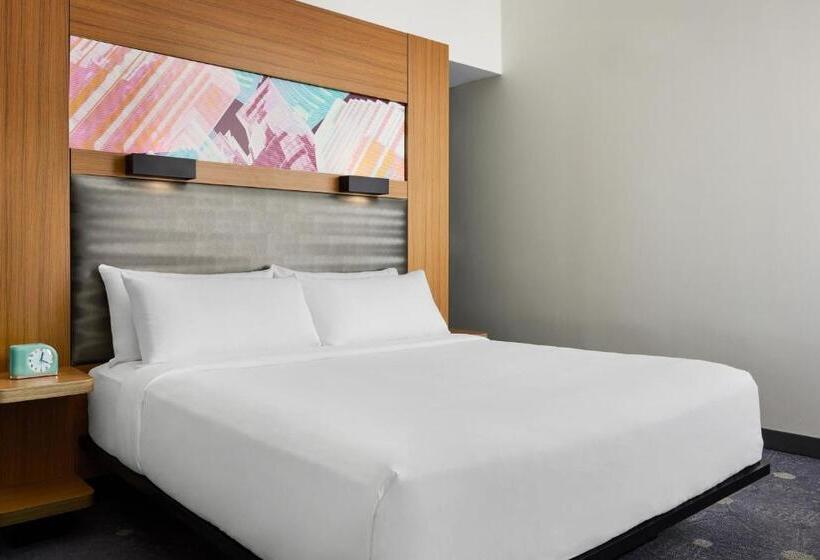 스탠다드 룸 킹사이즈 침대, Aloft Leawoodoverland Park