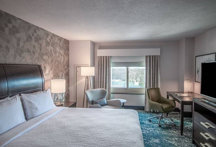 스탠다드 룸 킹사이즈 침대, Hilton Garden Inn Bethesda Downtown