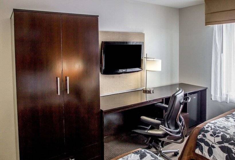 اتاق استاندارد با 2 تخت دوبل, Sleep Inn Jfk Airport Rockaway Blvd