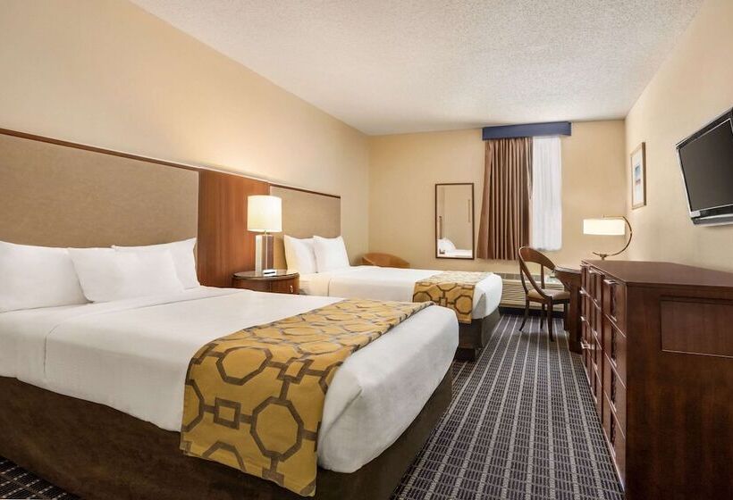 디럭스 스튜디오, Belmont Inn & Suites