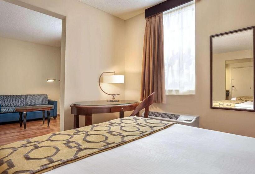 디럭스 스튜디오, Belmont Inn & Suites