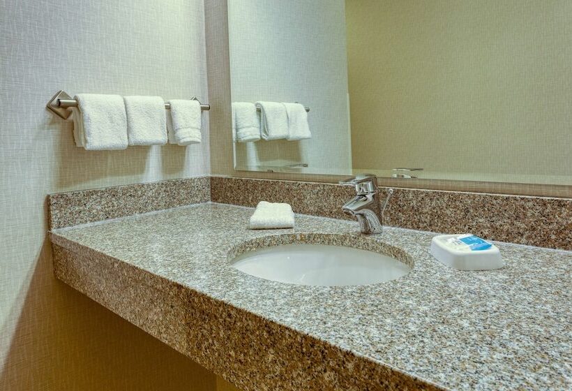 Deluxe Zimmer Behindertengeeignet, Drury Inn & Suites Indianapolis Northeast
