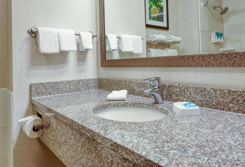 Suite Kingsize Bett, Drury Inn & Suites Indianapolis Northeast