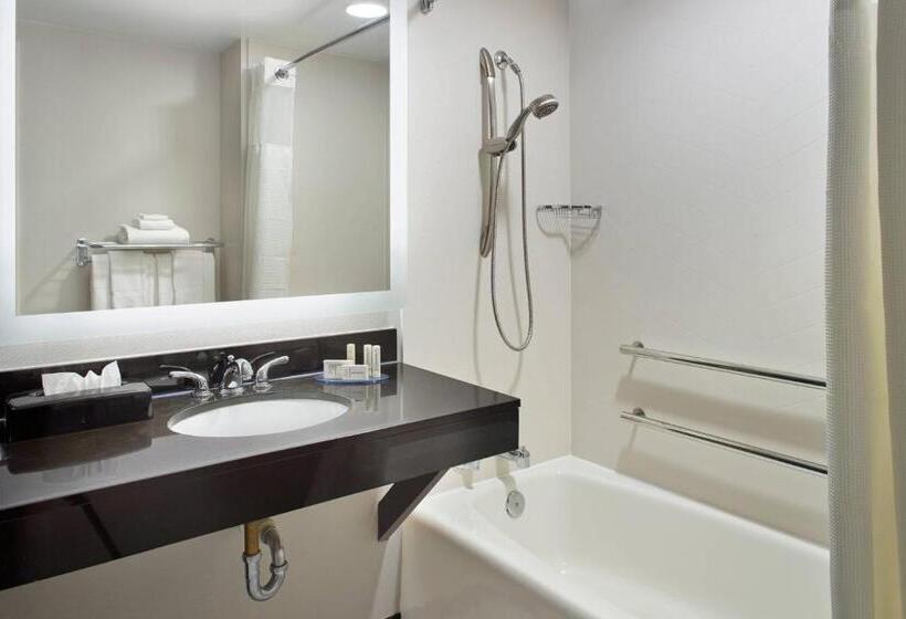장애인용 디럭스룸, Fairfield By Marriott Inn & Suites Asheville Outlets