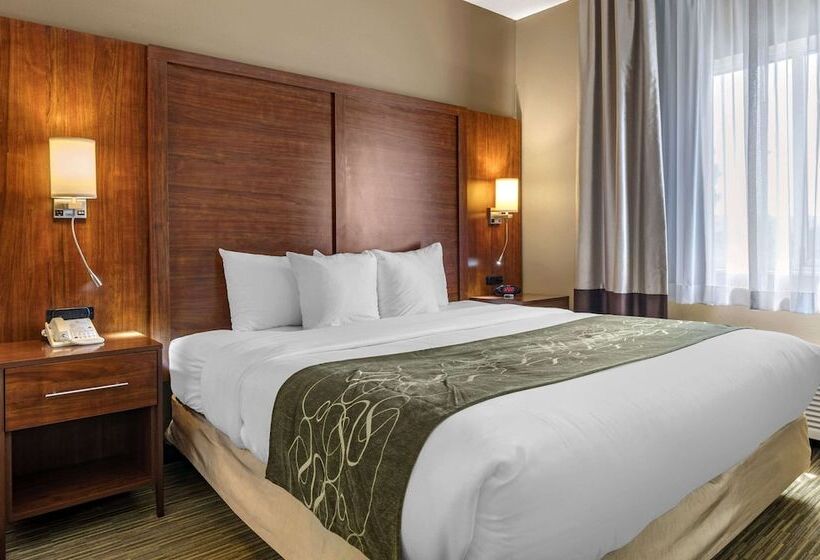 Suite, Comfort Suites North