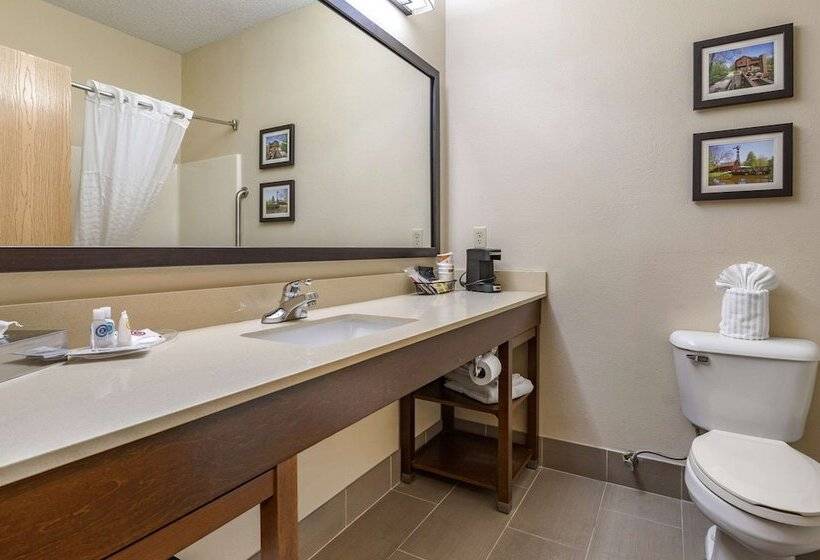 Suite, Comfort Suites North