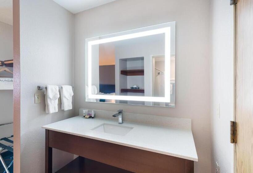 Люкс Deluxe Кровать Кинг, Red Lion Inn & Suites Kennewick Tri Cities