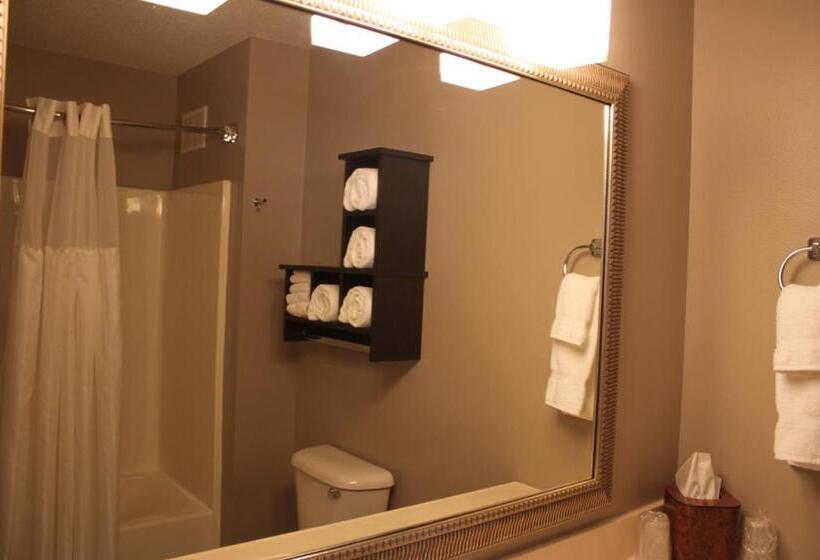 Апартаменты 1 Спальня, Grandstay Hotel & Suites Ames