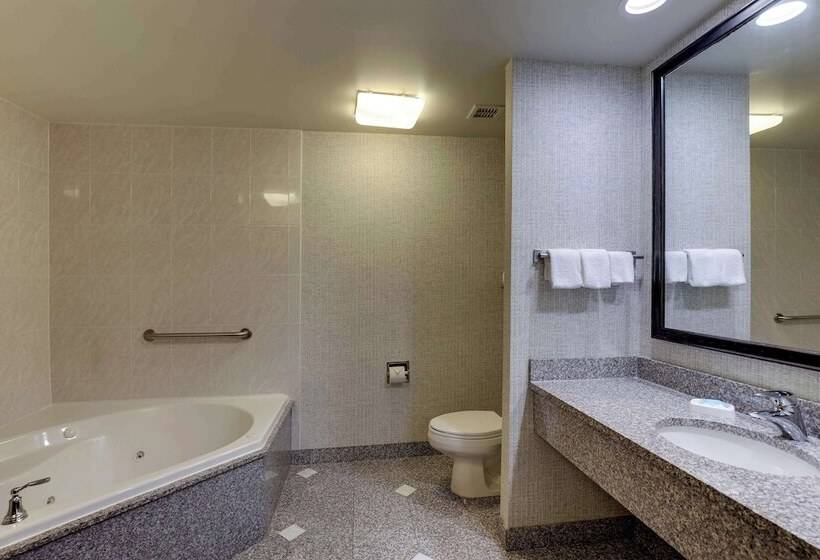 디럭스 룸, Drury Inn & Suites Montgomery