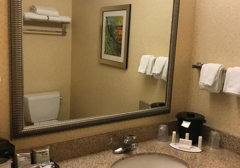 キングサイズベッドのスタンダードルーム, Fairfield Inn And Suites Sacramento Airport Natomas