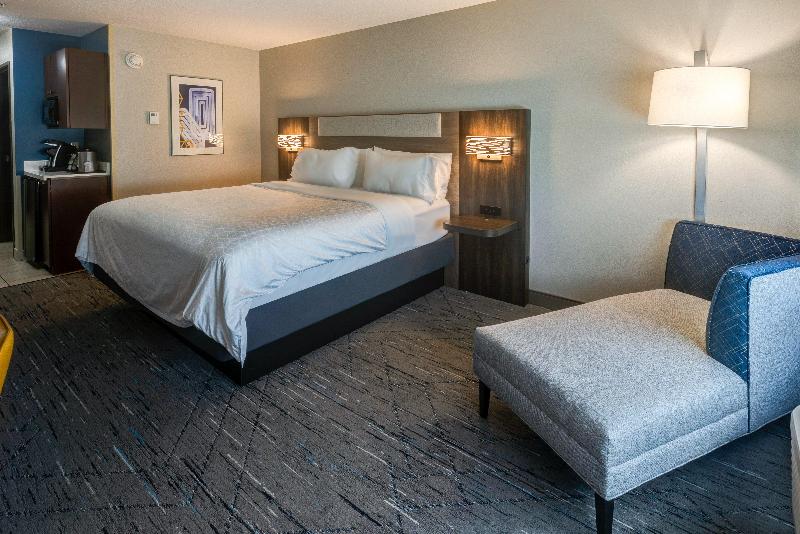 스탠다드 룸 킹사이즈 침대, Holiday Inn Express Hotel & Suites Salina, An Ihg