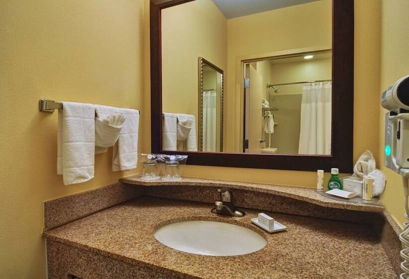 Люкс, Springhill Suites By Marriott Dallas Dfw Airport East Las Colinas Irving