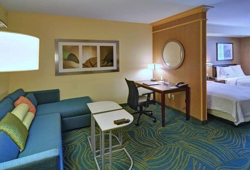 Люкс, Springhill Suites By Marriott Dallas Dfw Airport East Las Colinas Irving
