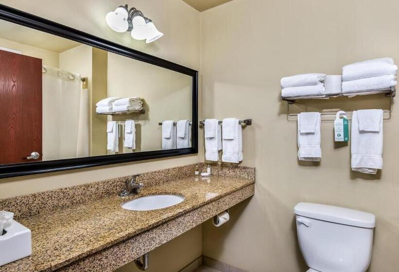 Номер Deluxe Кровать Кинг, Cobblestone Inn & Suites   Vinton, Ia